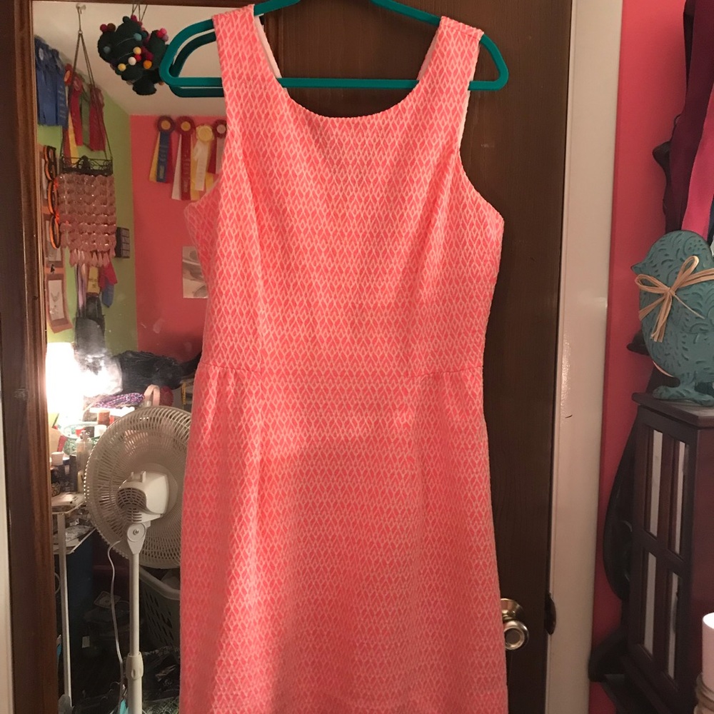 Pink & White Fit and Flare Dress